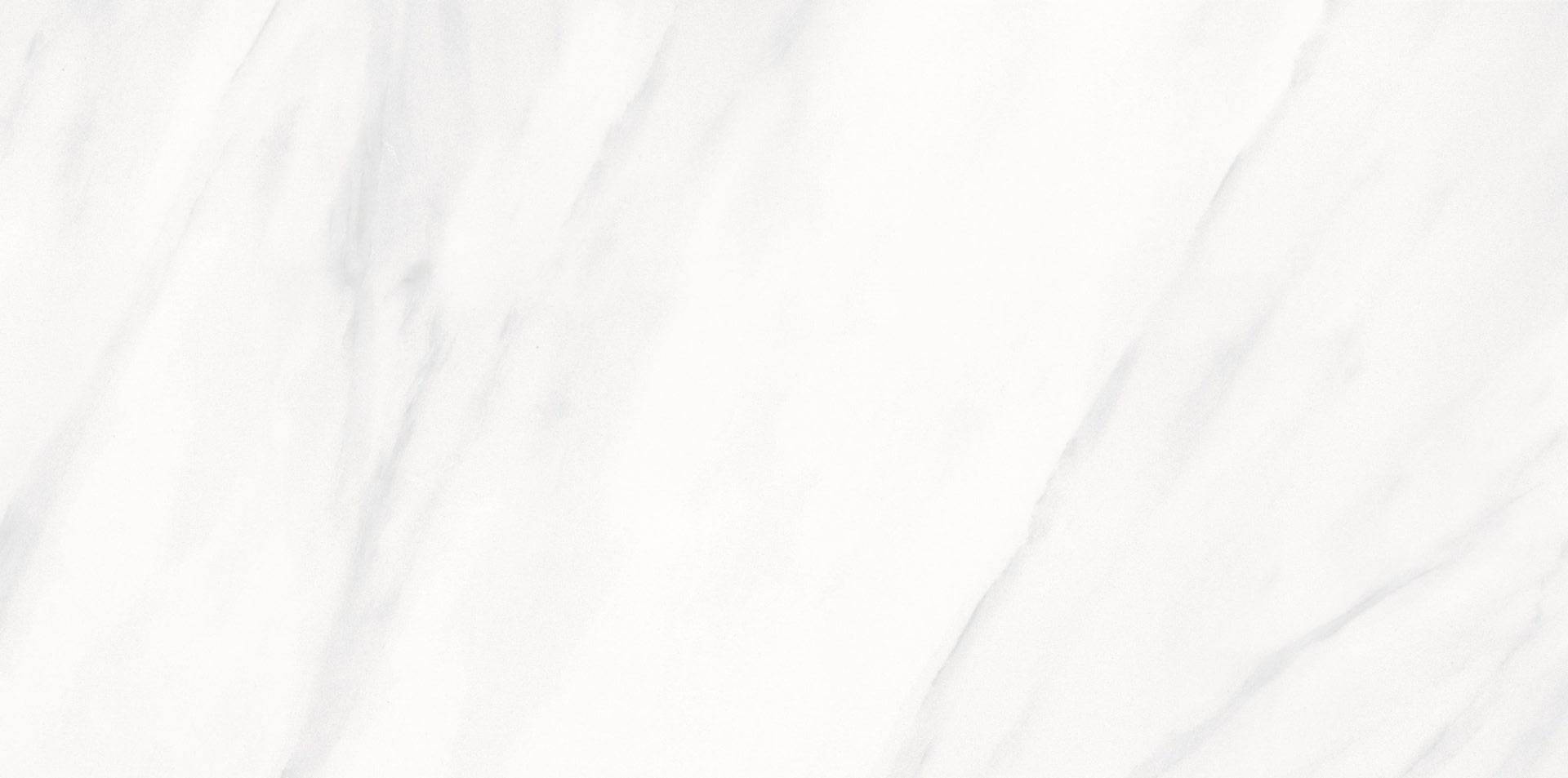 Carrara White 12x24 Porcelain Tile | tilestate