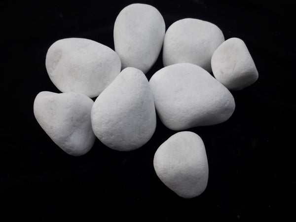 White Natural Rainforest Pebble Stone 3 to 5 inches - 1000 LBS - tilestate