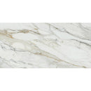 Imperial Arabescato Corchia 24x48 Polished Porcelain Tile - tilestate