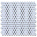 Thassos White Marble Penny Round Polished Mosaic Tile - tilestate