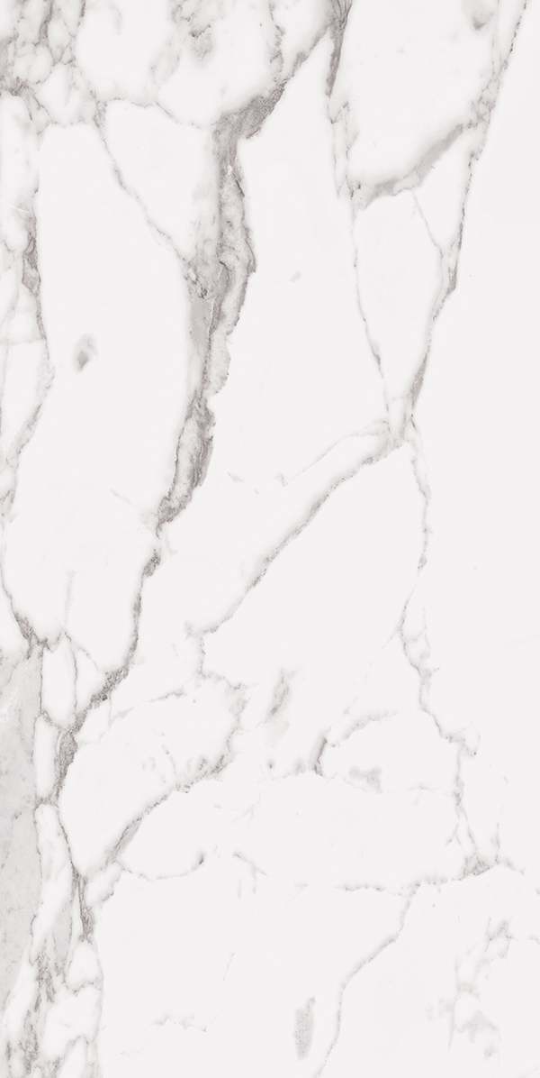 Statuary White 24x48 R Up Porcelain Tile - tilestate