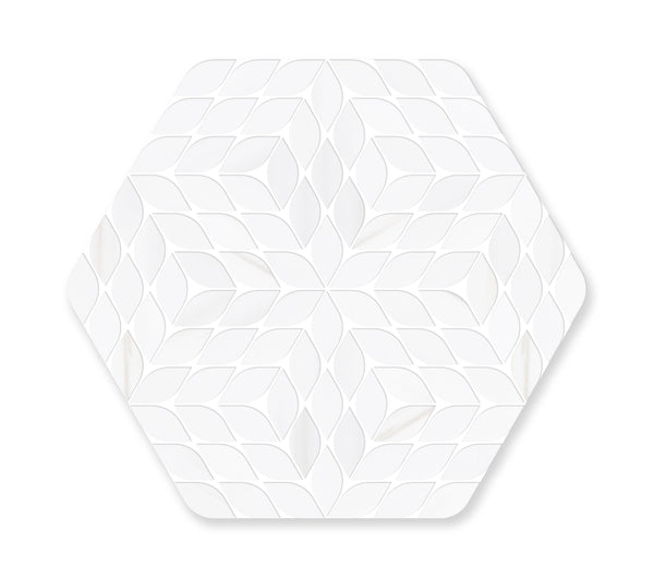 Dolomite Leaf Hexagon Polished - tilestate