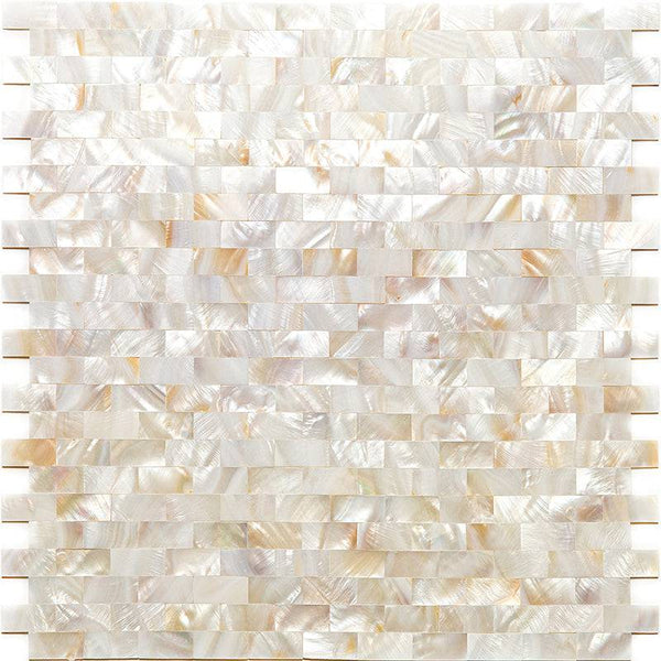 SHELL DAYTONA BEACH shell Mosaic Tile - tilestate