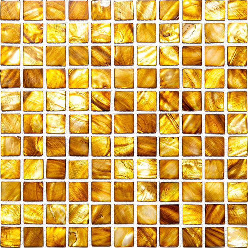 SHELL COCOA BEACH shell Mosaic Tile | TileState