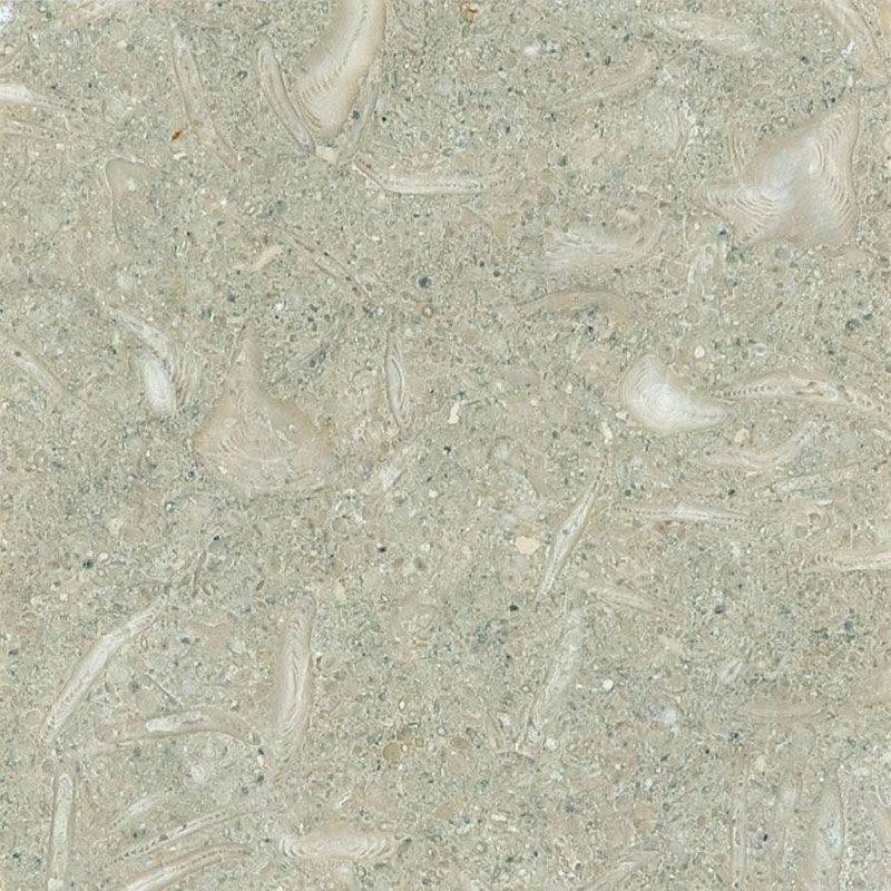 Seagrass Limestone 12x12 Honed Tile - tilestate