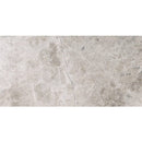 Silver Sky Marble 12x24 Honed Tile - tilestate