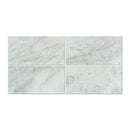 Asian Statuary (Oriental White) Marble 12x24 Honed Tile - tilestate
